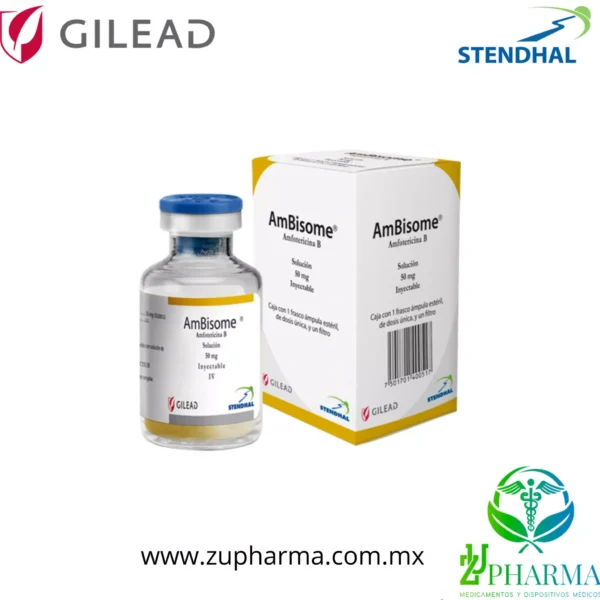 Amfotericina B